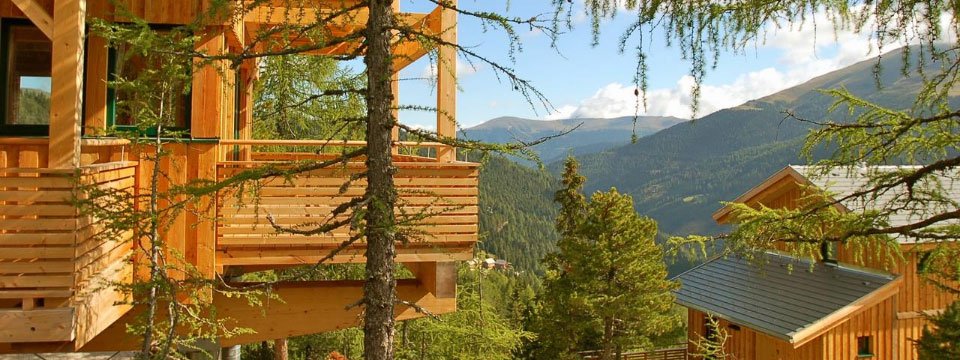 chalets alpenpark turrach (155)