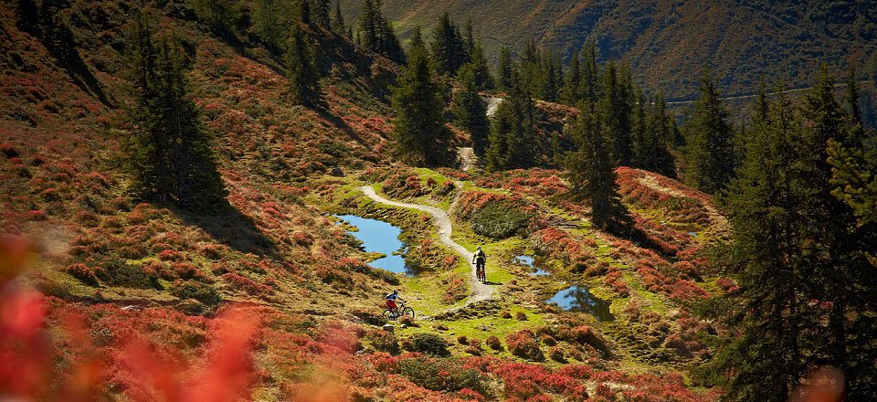 freeride downhill tvb saalbach hinterglemm