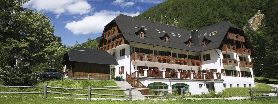 hotel plesnik villa palenk logarska dolina (101)