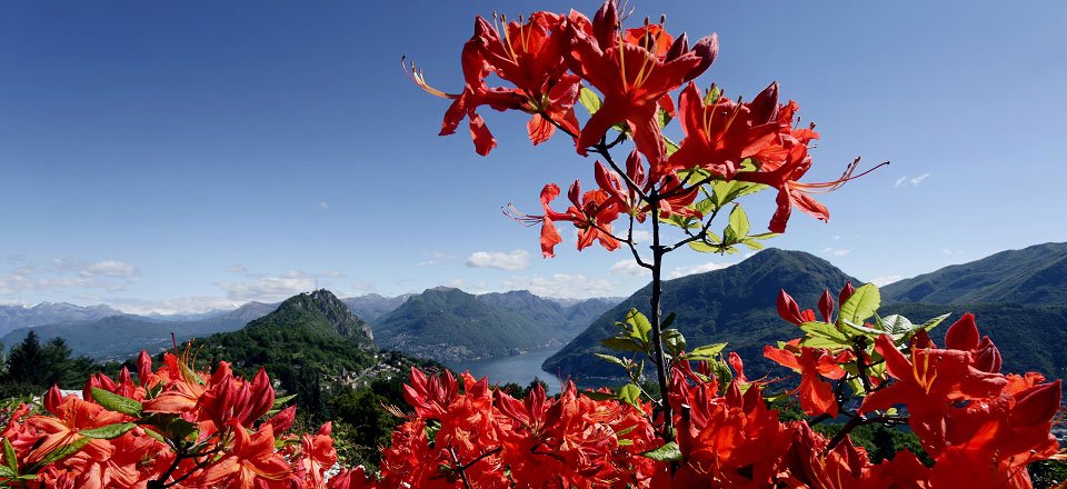 parcosangrato lago maggiore