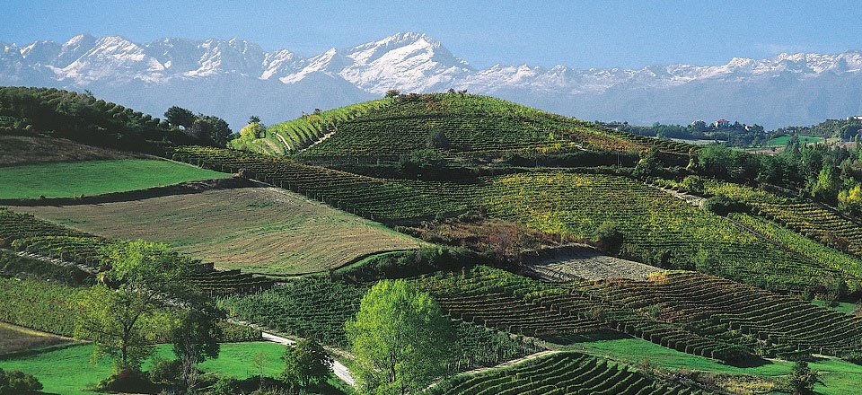 colline piemonte lago maggiore