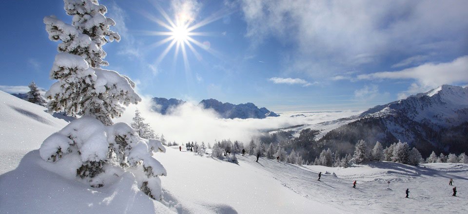 monte vigo val di sole trentino zuid tirol italie