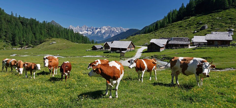 schladming steiermark oostenrijk (6)