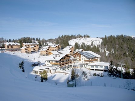 hotel alpinresort schillerkopf burserberg (3)