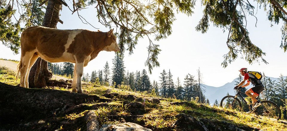 ruhpolding beieren duitsland (4)