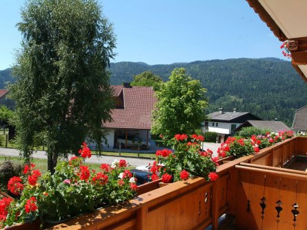 hotel gfrerer lipp feldkirchen im kaernten karinthie vakantie oostenrijk oostenrijkse alpen (8)