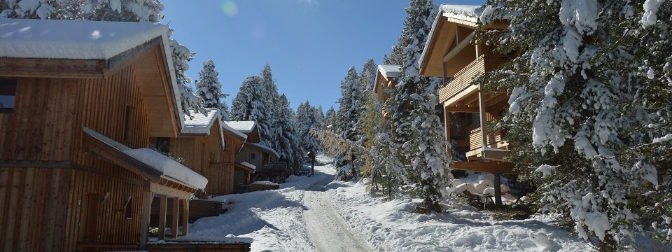 alpenpark turrach turracher hohe steiermark (2)