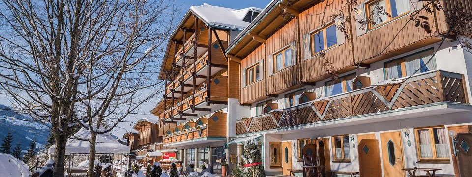 hotel ferien alm schladming steiermark (2)