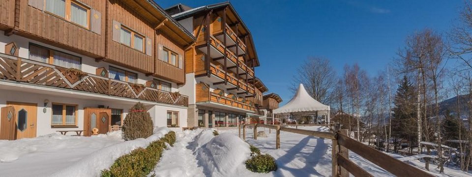 hotel ferien alm schladming steiermark (1)