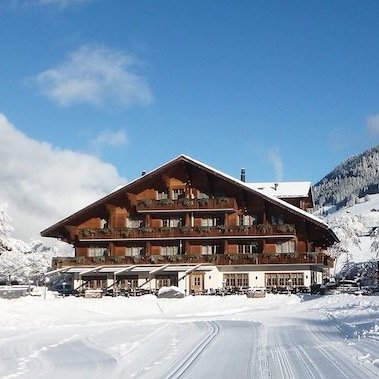 hotel alpenland lauenen bei gstaad bern (50)