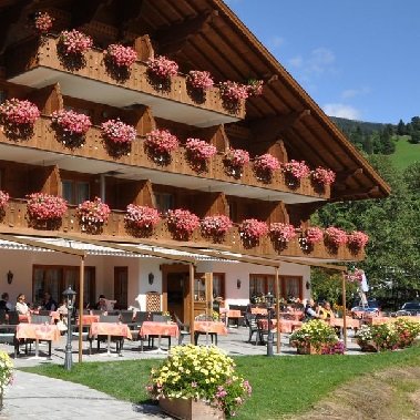 hotel alpenland lauenen bei gstaad bern (51)