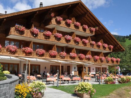 hotel alpenland lauenen bei gstaad bern (21)