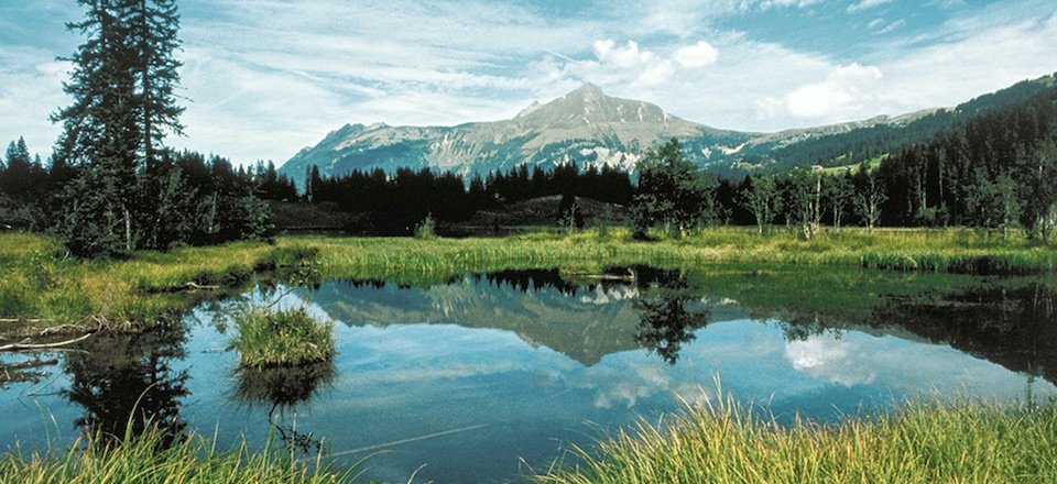 gstaad lauenensee berner oberland zwitserland my switzerland