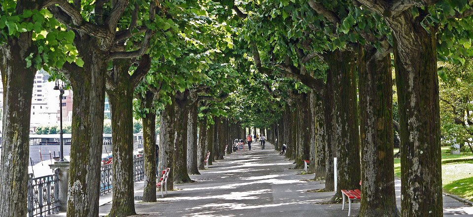 lugano promenade 1515220 erich westendarp pixabay